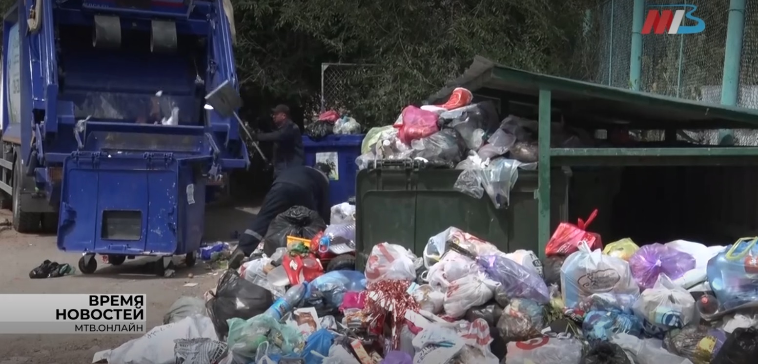 В Волгограде общественники проверили мусорные контейнеры в частном секторе  | 